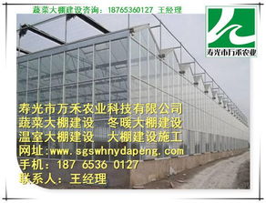 玻璃温室 智能温室 寿光市万禾农业