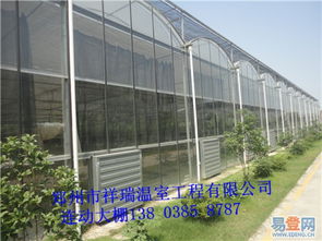 郑州连栋温室蔬菜大棚钢架智能型连栋温室大棚价格解析与图片参考