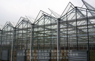 新型智能温室建设厂家选择与建设前需考虑的几大因素