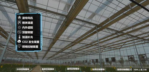 智能温室中的物联网技术 让农业种植变得更加智慧高效