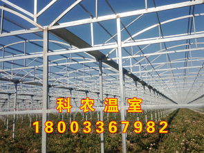 河南智能温室值得信赖的厂家科农 价格与型号规格全解析