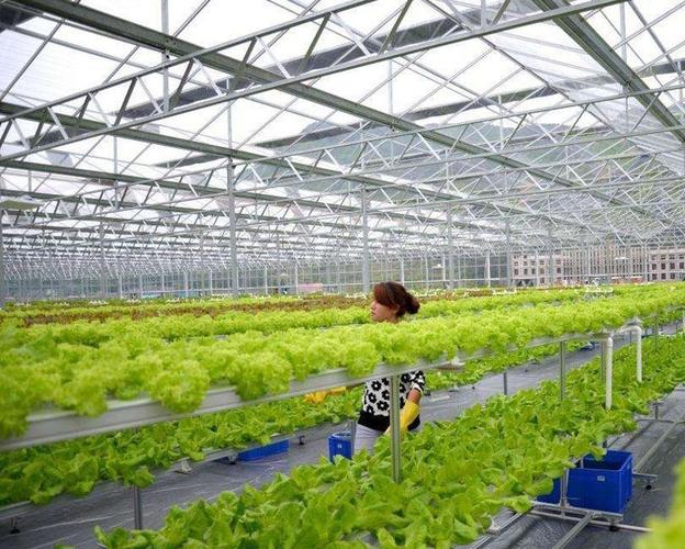 智能温室让你意想不到 当农业遇上黑科技，未来已来